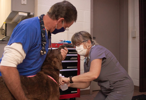 Autumn Trails Veterinary Center