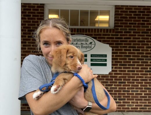 Charlottesville Veterinary Hospital