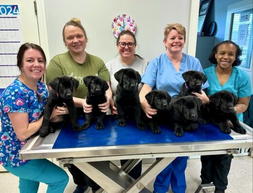 Timberlake Animal Hospital