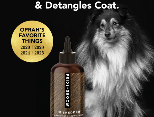 Pride+Groom The Shedder shampoo for shedding dogs, Oprah's Favorite Things.